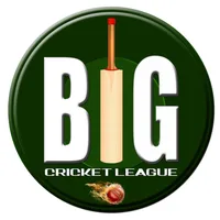 Big Cricket League